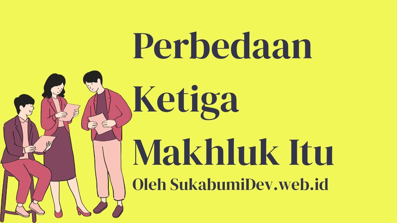 Perbedaan IMAP, POP3, dan SMTP