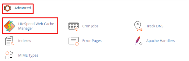 Clear Cache di Cpanel Lewat Tools